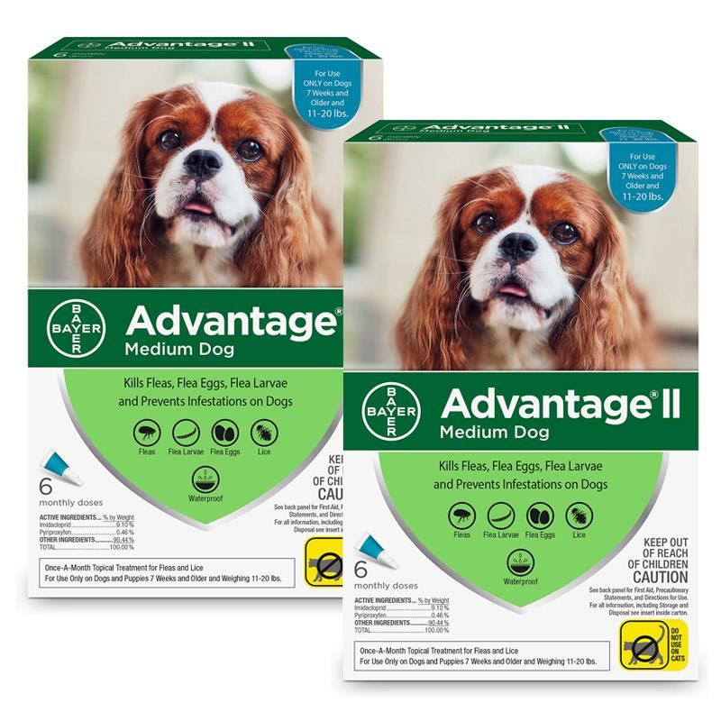 Advantage II for Dogs 11-20 lbs, 12 Pack (Teal)