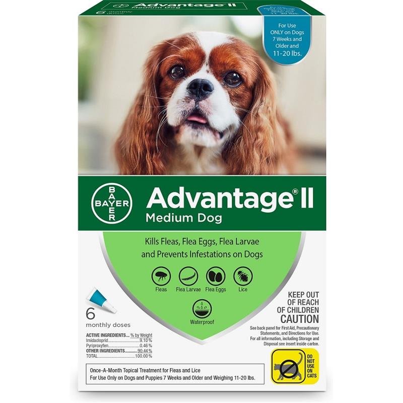 Advantage II for Dogs 11-20 lbs, 6 Pack (Teal)