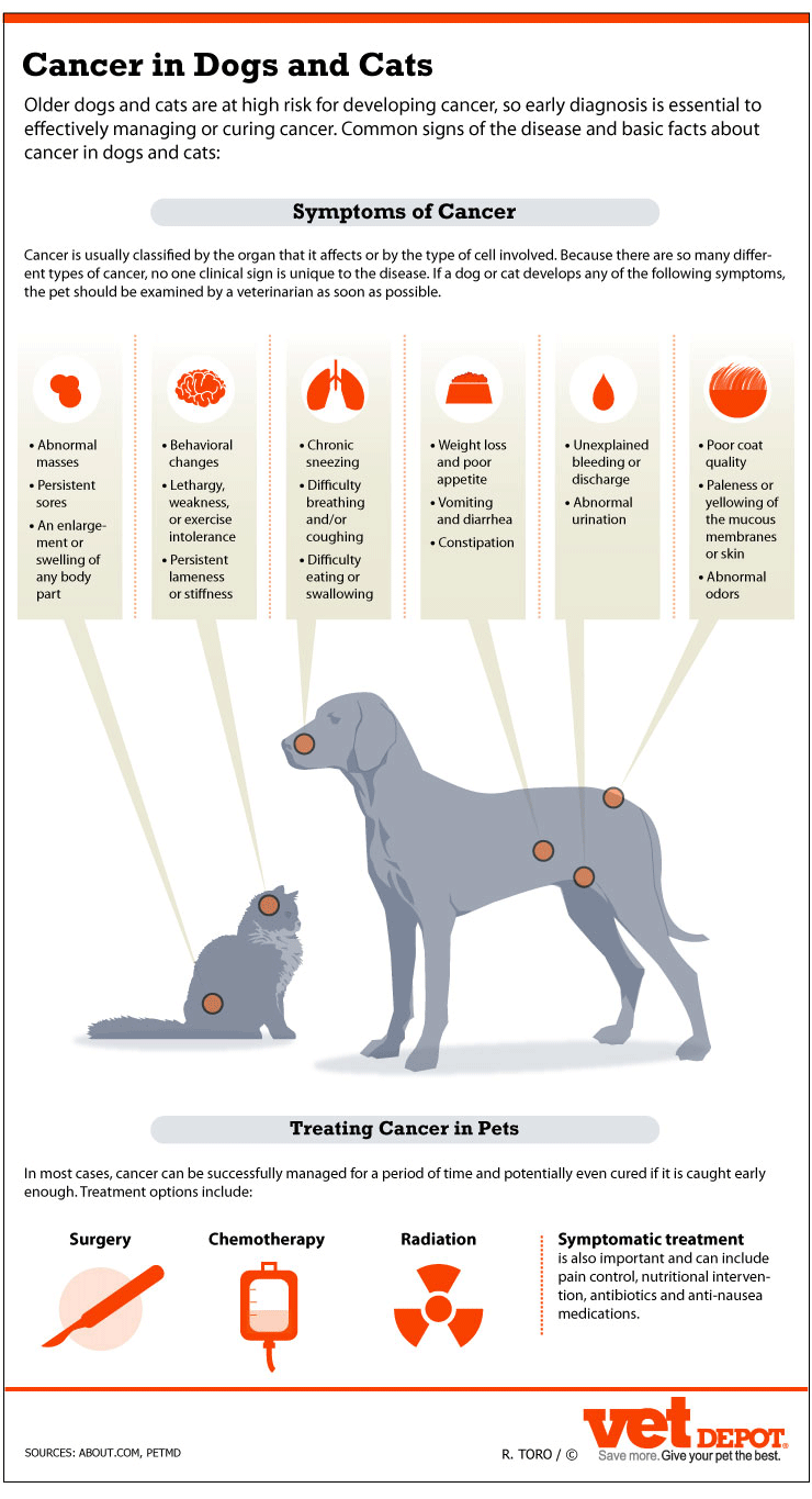 Signs of Cancer in Dogs & Cats