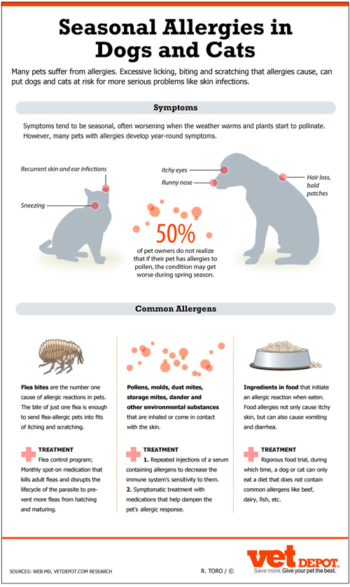 Season Allergies in Dogs and Cats Infographic