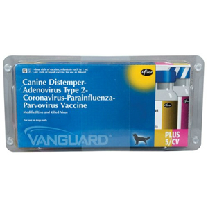 Vanguard Plus 5 Dog Vaccine