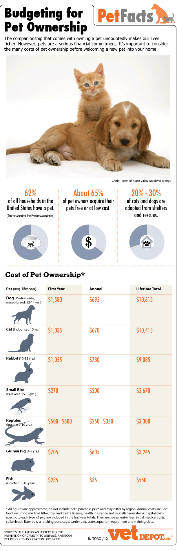 Budgeting for Pet Ownership