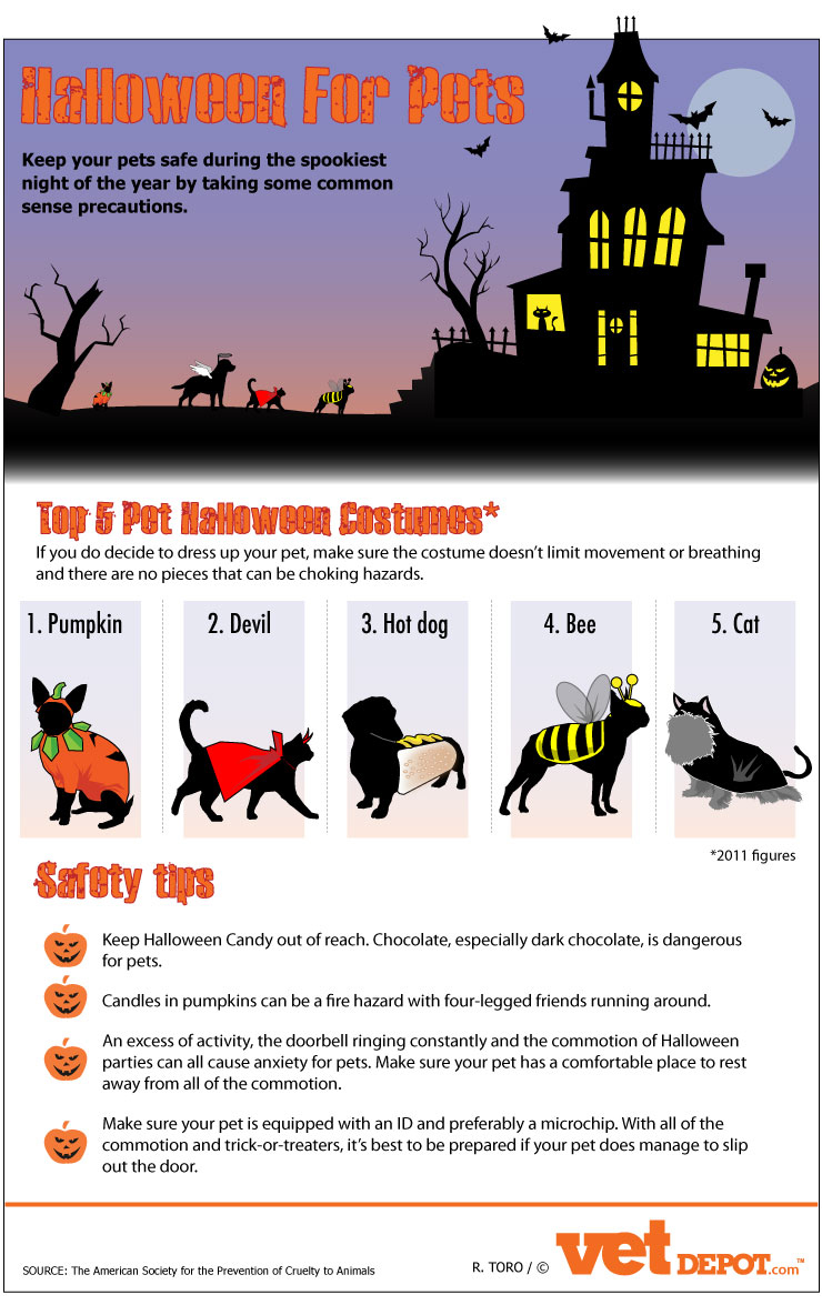 Halloween for Pets