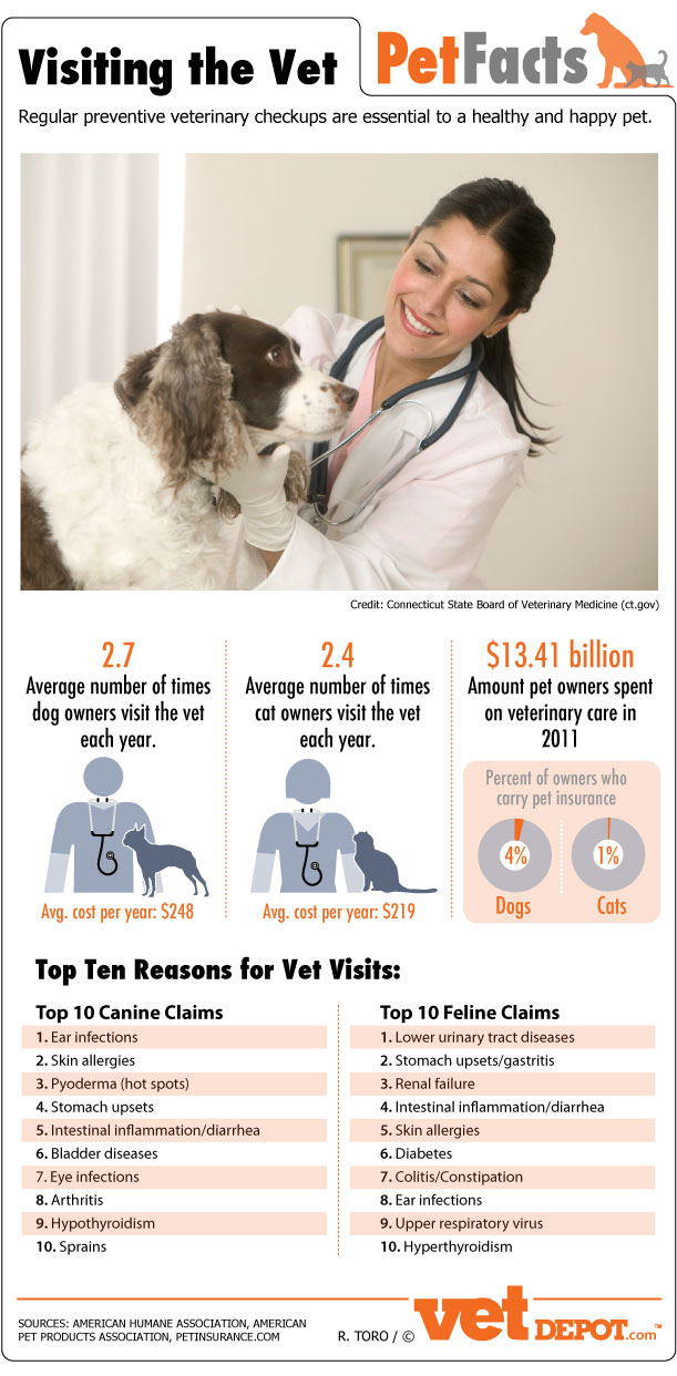 Visiting the Vet Infographic
