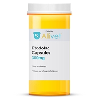 Etodolac 300 mg, 100 Capsules