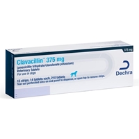 Clavacillin (Amoxicillin Trihydrate and Clavulanate Potassium) Tablet, 375 mg