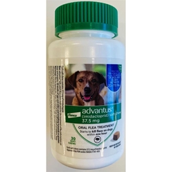 Advantus Oral Flea Treatment Soft Chews for Dogs, 37.5 mg for Large Dogs (23-110 lbs) 30 Ct.