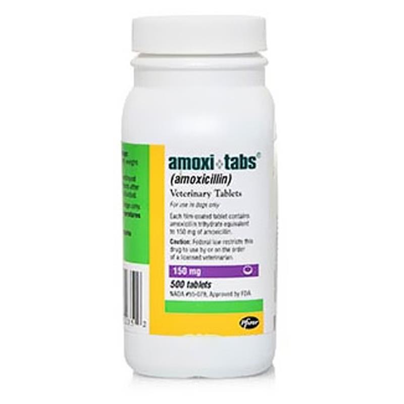 Amoxi-Tabs (Amoxicillin) for Dogs & Cats, 150 mg 1 Tablet