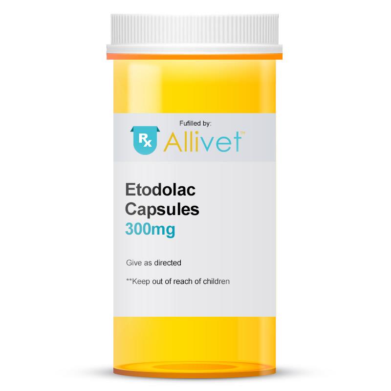 Etodolac 300 mg, 100 Capsules