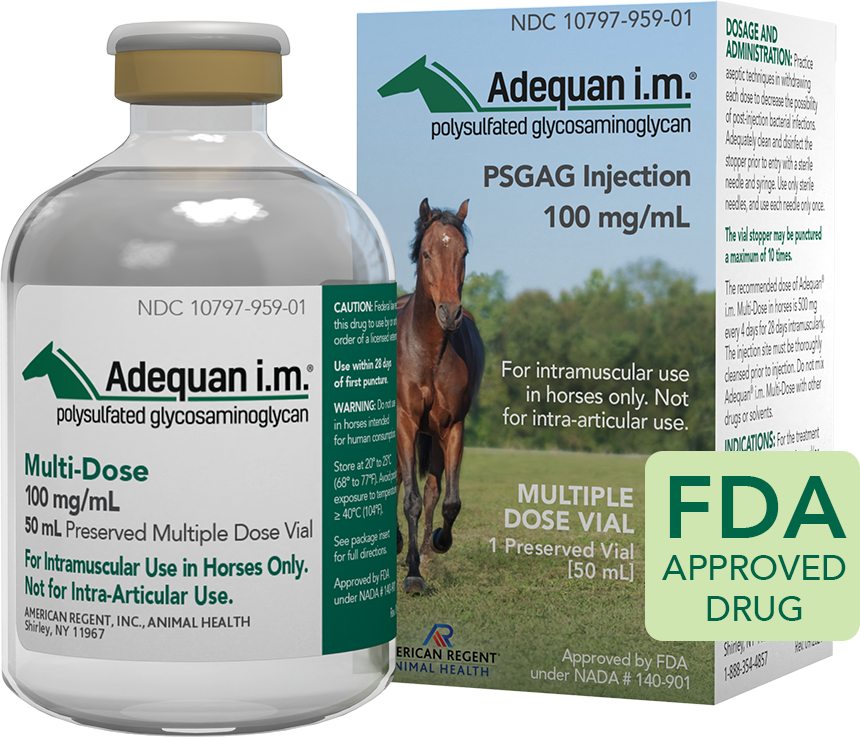 Adequan Equine I.M. Multi-Dose, 100 mg/mL, 50 mL Vial