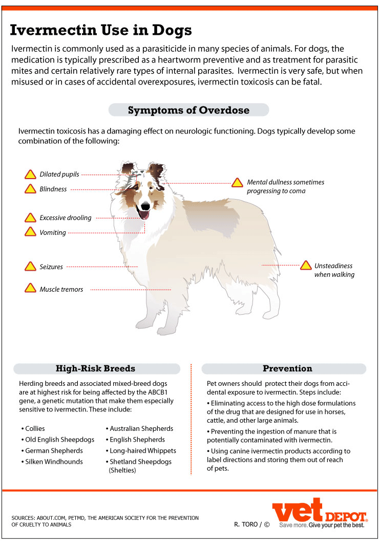 Ivermectin Dog Dosage Chart