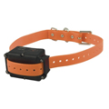 Dog Collars, Tags &amp; Leashes