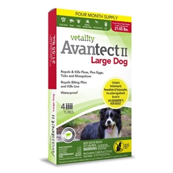 Vetality Avantect II for Large Dogs 21-55 lbs, 4 doses