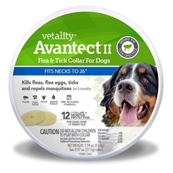 Vetality Avantect II Flea & Tick Collar for Large Dogs up to 26 neck, 2 ct