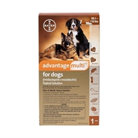 Advantage Multi for Dogs 88.1-110 lbs Brown, 1 Month Supply