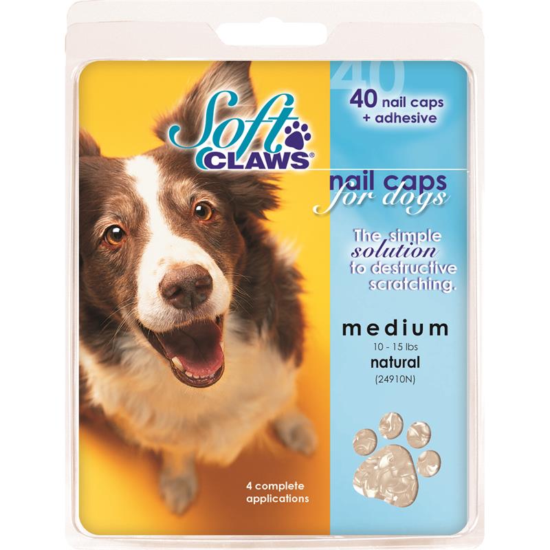 Soft Claws Nail Caps for Dogs 40 Count Pack, Clear Medium