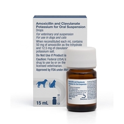 Amoxicillin and Clavulanate Potassium Oral Suspension Drops for Dogs and Cats, 15 ml