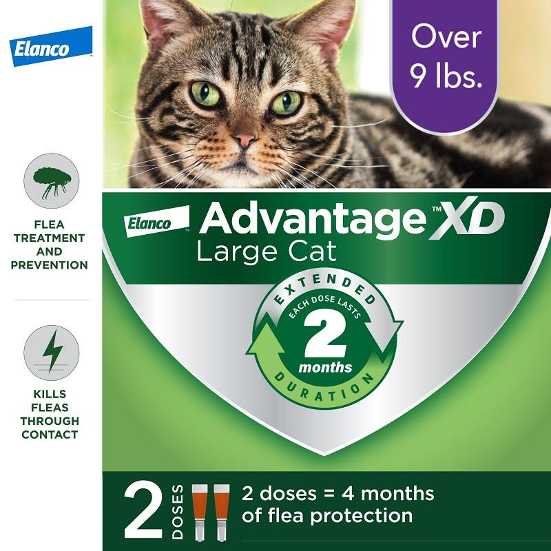 Advantage XD for Cats over 9 lbs Purple, 2 Dose 4 Month Supply