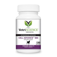 Cell Advance 880, 120 Capsules