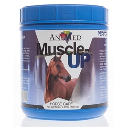 Muscle-UP Powder, 2.5 lbs