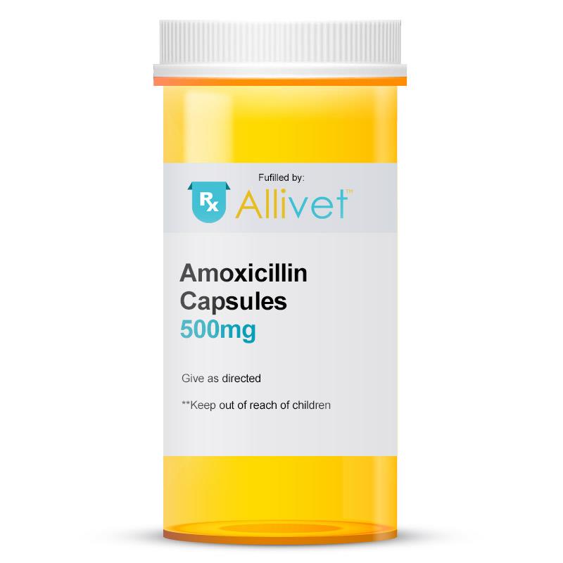 Amoxicillin 500 mg, 500 Capsules