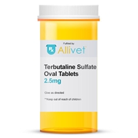 Terbutaline Sulfate 2.5 mg, 60 Tablets