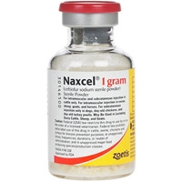Naxcel Injection, 20 mL : VetDepot.com