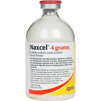 Naxcel Injection, 80 mL | VetDepot.com