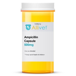 Ampicillin 500 mg, 100 Capsules