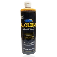 Aloedine Shampoo, 16 oz