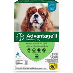 Advantage II for Dogs 11-20 lbs, Teal, 6 Pack