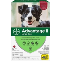 Advantage II for Dogs 21-55 lbs, Red, 6 Pack