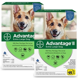 Advantage II for Dogs 55-100 lbs, Blue, 12 Pack