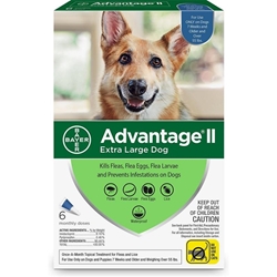 Advantage II for Dogs 55-100 lbs, Blue, 6 Pack