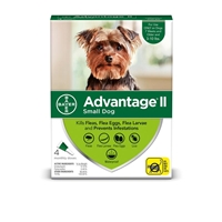 Advantage for Dogs 1-10 lbs, Green, 4 Pack