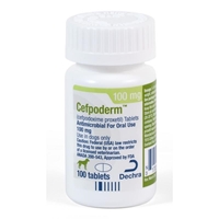 Cefpodoxime Tabs 100 mg, 100 Tablets