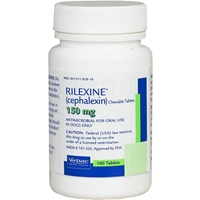 Rilexine (Cephalexin) 150 mg, Single Chewable Tablet