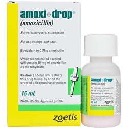 Amoxi-Drops (amoxicillin), 15 mL