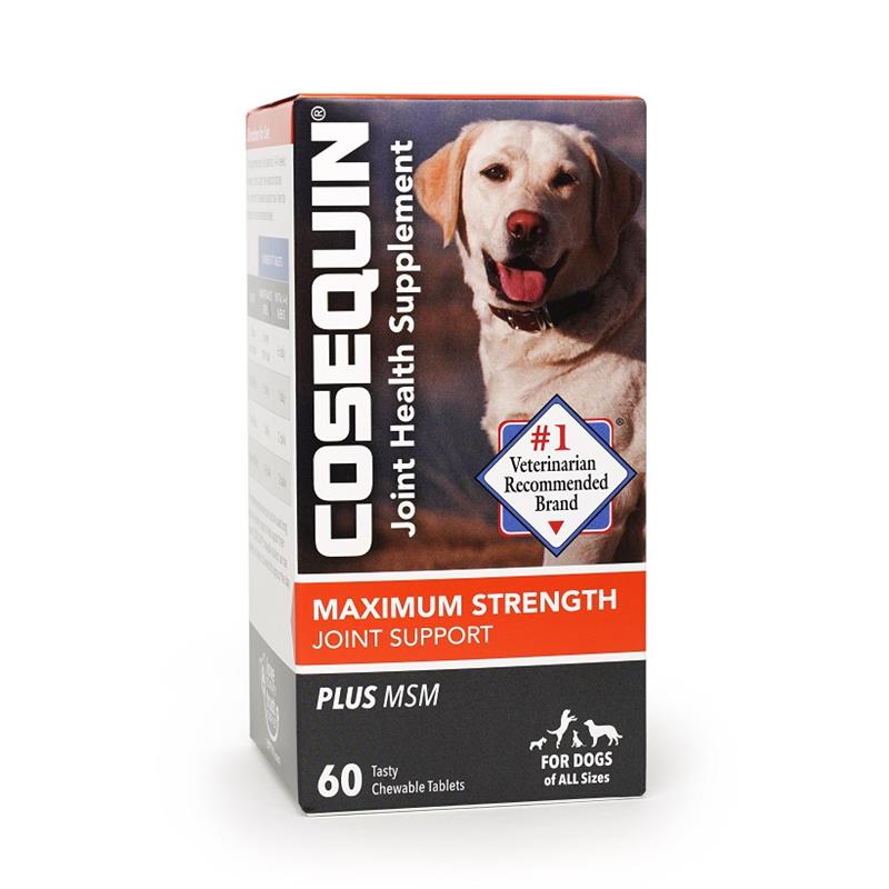 Cosequin DS (Double Strength) Plus MSM for Dogs, 60 Chewable Tablets