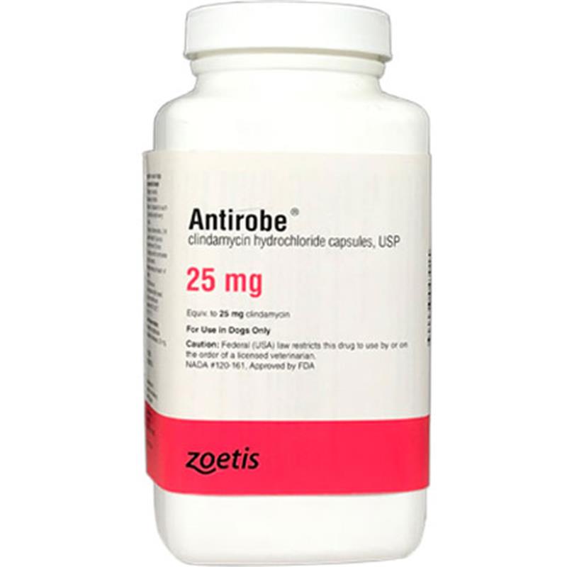 ANTIROBE (Clindamycin Hydrochloride) Capsules 25 mg