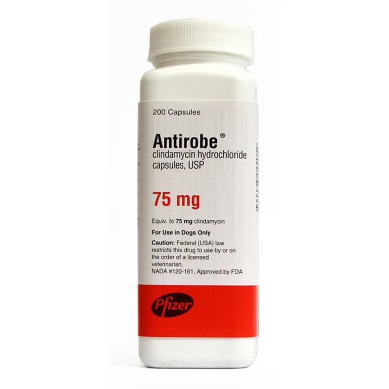 ANTIROBE (Clindamycin Hydrochloride) Capsules 75 mg