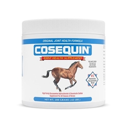 Cosequin Powder, 280 gm