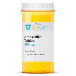 Amoxicillin Tablet, 500 mg