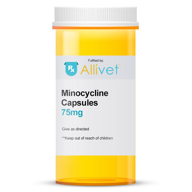 Minocycline 75 mg 1 Capsule