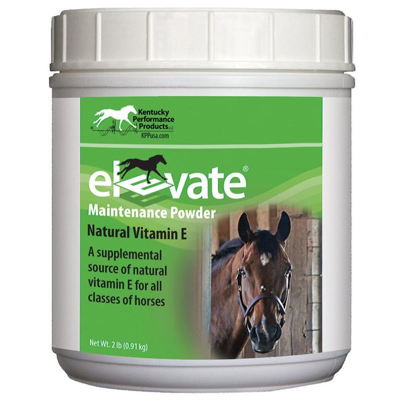 Elevate Maintenance Powder for Horses, 2 lbs
