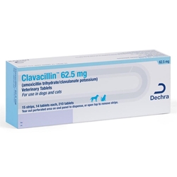 Clavacillin (Amoxicillin Trihydrate and Clavulanate Potassium) Tablet, 62.5 mg