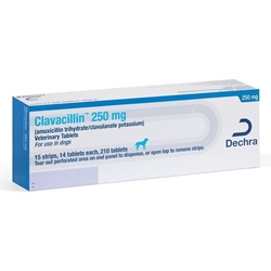 Clavacillin (Amoxicillin Trihydrate and Clavulanate Potassium), 250 mg