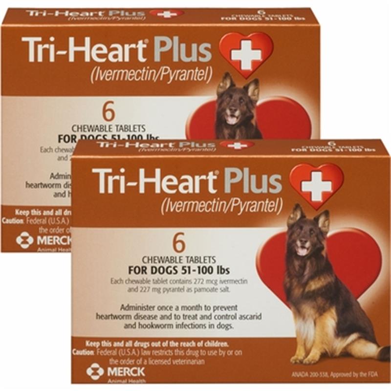 Tri-Heart Plus Chewable Tablets 51-100 lbs 12 Month Brown