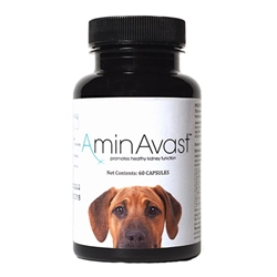 AminAvast Kidney Support for Dogs, 60 Capsules (1000 mg for Dogs over 20 lbs)