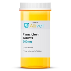 Famciclovir Tablet, 500 mg